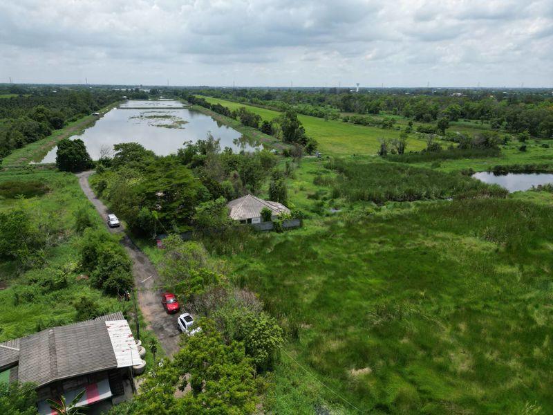 ขายที่ดิน รังสิตคลอง 13 ติดถนน ไร่ละไม่ถึงล้านโทร 061-9419-639 5