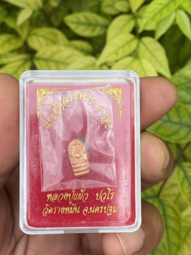 พระนาคปรกใบมะขาม ที่ระลึกอายุครบ 8 รอบ #หลวงปู่แผ้ว วัดรางหมัน จ.นครปฐม