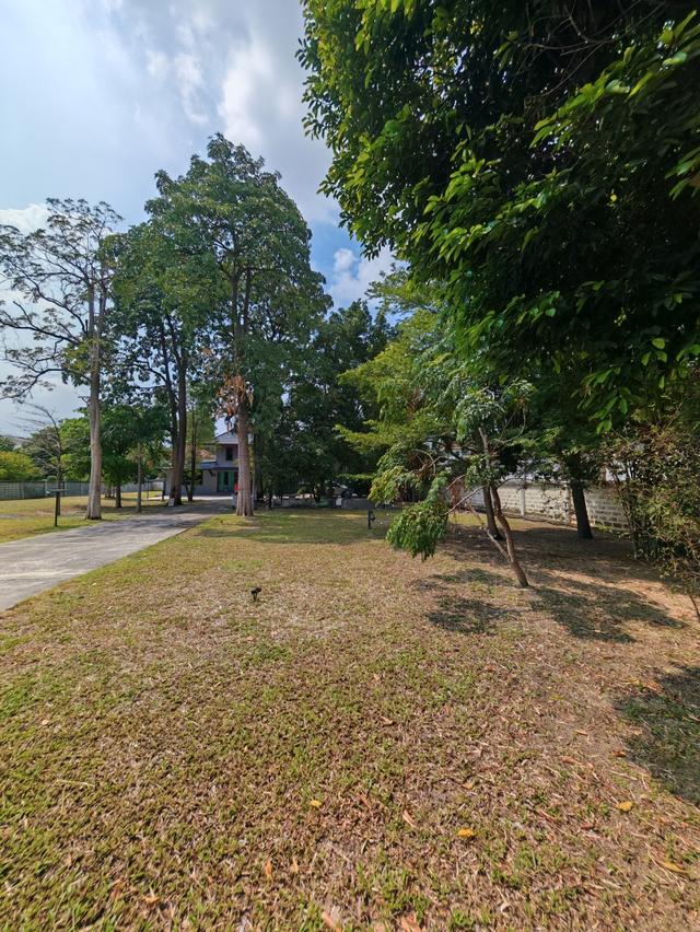 สุดคุ้มด่วน บ้านพร้อมที่ดินใหญ่ 595 ตรว. ถนนงามวงศ์วาน 23 แยก 15 ติดถนนใกล้ทางด่วน 5