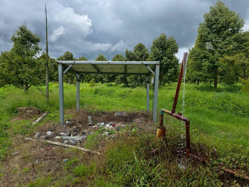 ขาย สวนเกษตร ฟาร์ม 914.75 ไร่ 17