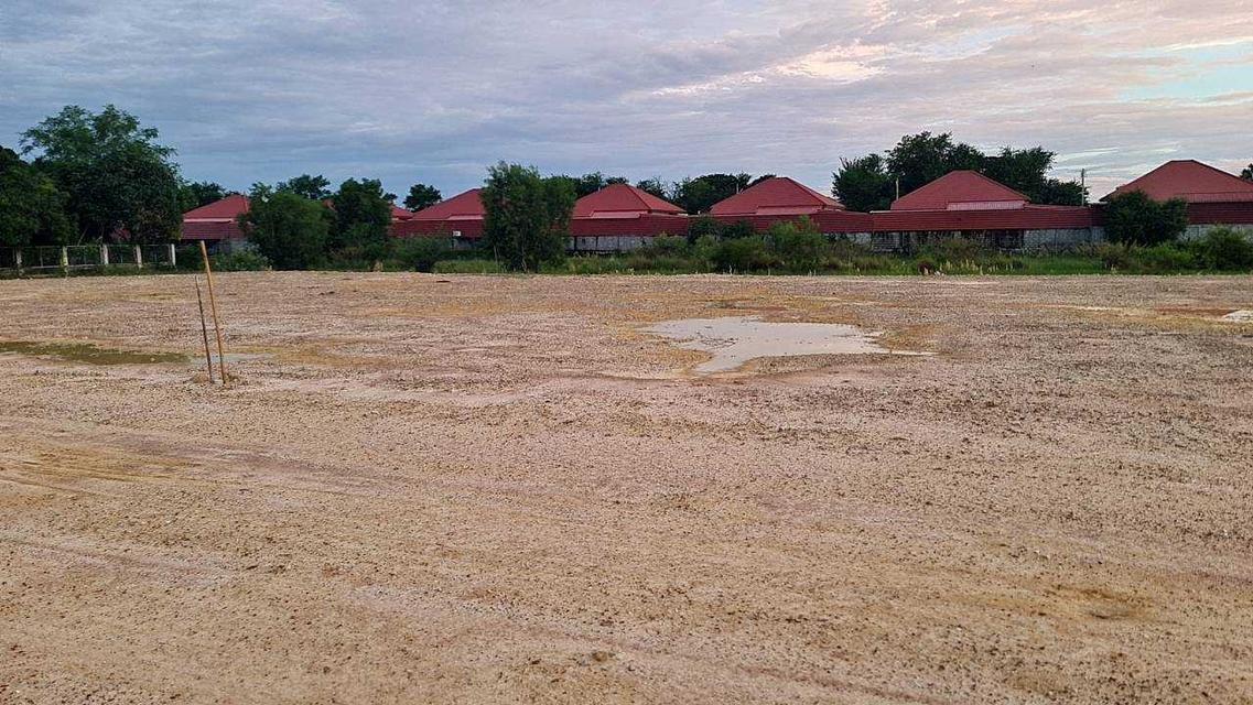 ขายที่ดินสวย ตำบลบ้านหม้อ จังหวัดเพชรบุรี ขนาด 130 ตร.ว./แปลง ติดถนน (N.1326) 4