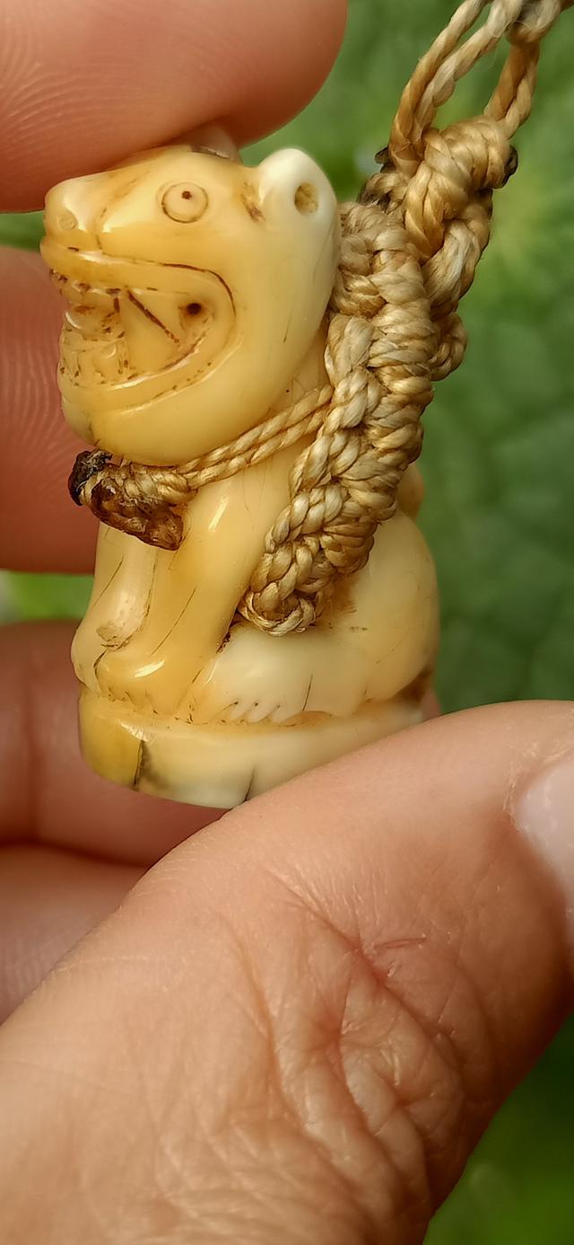 เสือเเกะ หลวงพ่อปานวัดบางเหี้ย รูปที่ 6