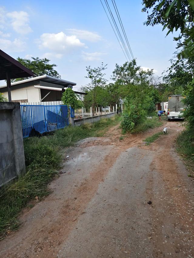 ขายที่ดินพร้อมสิ่งปลูกสร้าง 47ตรว 3
