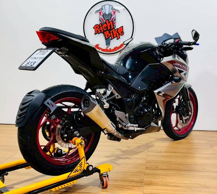 Z300