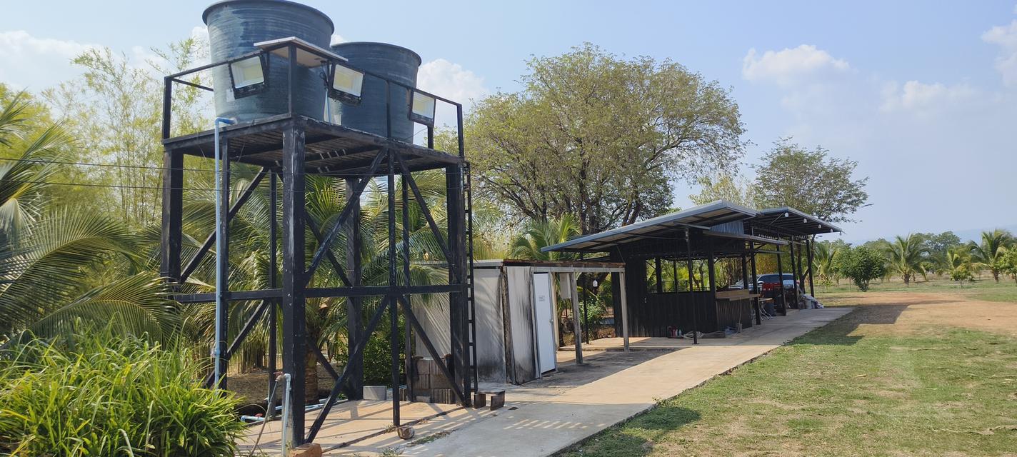 บ้านสวนพร้อมที่ดินสวย 5