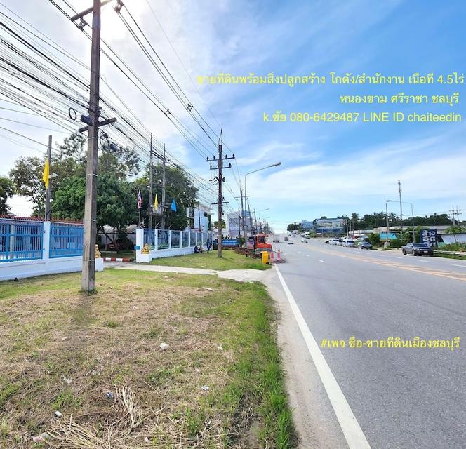 ขายที่ดินพร้อมสิ่งปลูกสร้างเนื้อที่ 4.5ไร่ โกดัง/สำนักงาน ติดถนนหลัก ทำเลดี เหมาะพัฒนาเป็นสำนักงาน ห้างร้าน คลังสินค้า ตำบลหนองขาม ศรีราชา 4