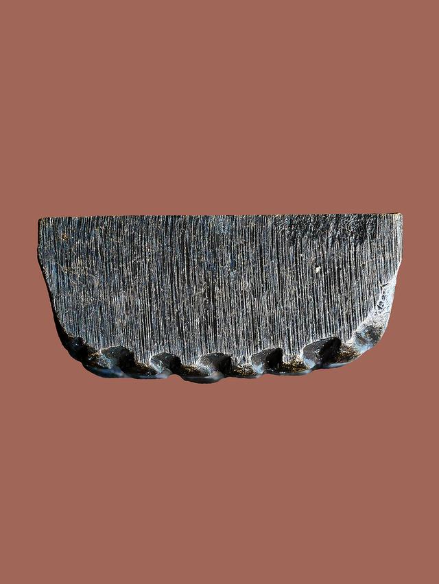 หลวงปู่ทวด เตารีด หลังหนังสือเล็ก วัดช้างให้ ปี 2505...เก่า เดิมๆ 5