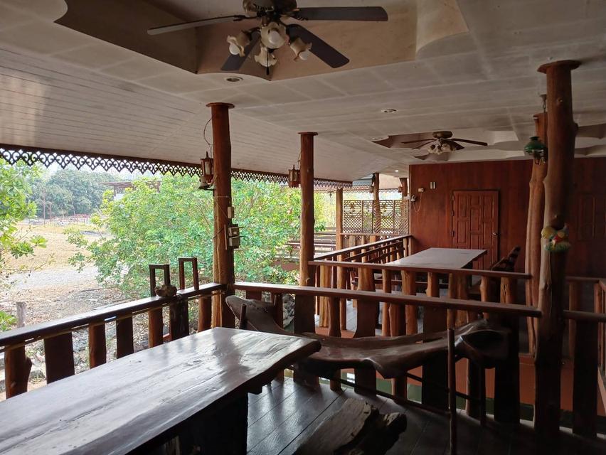 ขายที่ดินพร้อมบ้านและสวนลำไย 14 ไร่ ทำเลดีมาก อ.เมือง จ.ลำพุน 8