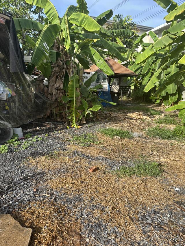 บ้านเก่า + ที่ดินทำเลดี ราคาหลักล้านบ้านอาจไม่ใหม่ แต่ที่ดินหายาก 8