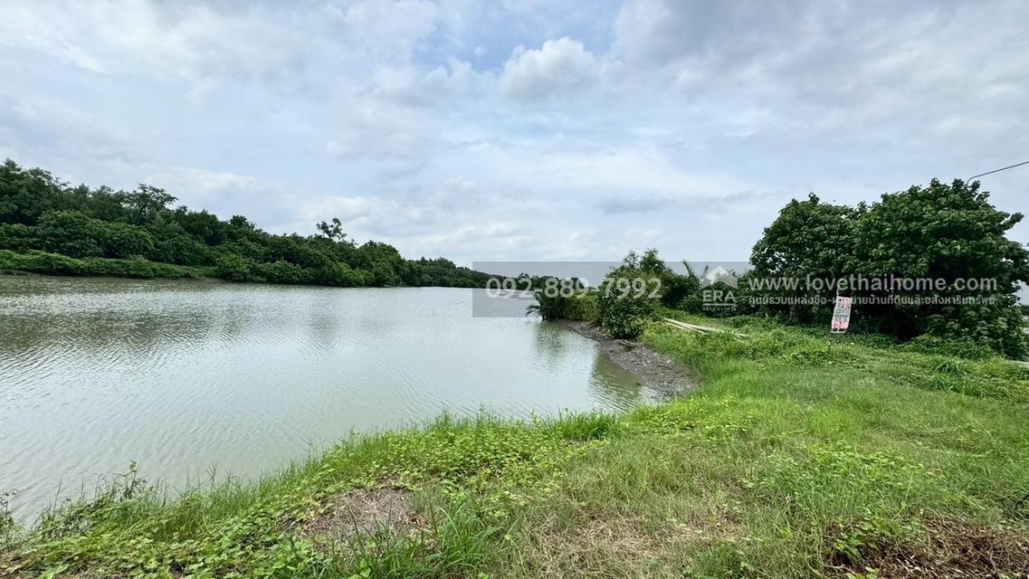 ขายที่ดิน ถนนเลียบคลองสรรพสามิต พระสมุทรเจดีย์ พื้นที่ 45-3-24 ไร่ เชิงสะพานข้ามคลองขุด-หลังขุน ราคาถูก 5