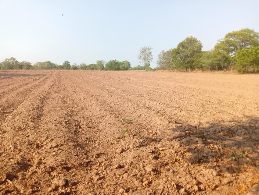 ที่ดินอสังหาริมทรัพย์ 7