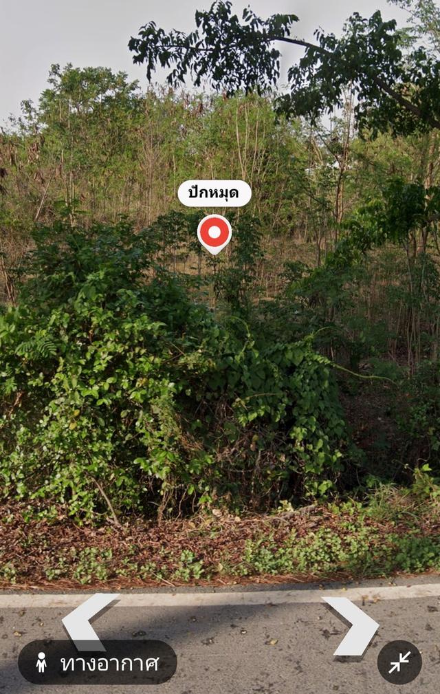 ที่ดินว่างเปล่า1ไร่84ตรว. 4