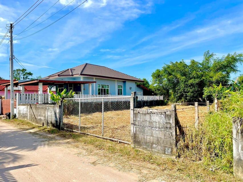 ขายที่ดินตาขัน 100 ตรว. ใกล้แยกบ้านดอนถนนเส้น36-6กม. อ.บ้านค่าย จ.ระยอง 5