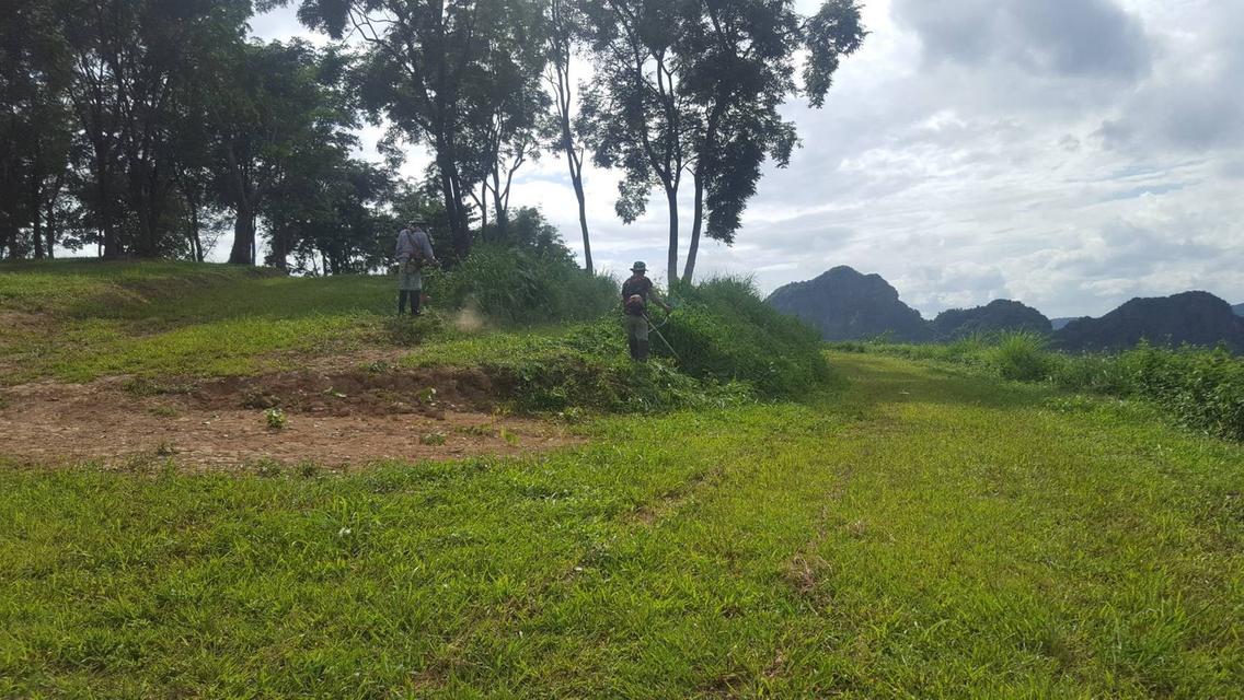 ขายที่ดินแปลงใหญ่ 148 ไร่ เป็นสวนยางพารา ที่มีโฉนด 15