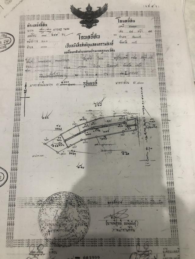 ขายที่ดินแปลงใหญ่ 20 ไร่+ ติดถนน 2 เลน เส้นทางสู่อ่าวท่าเลน-เขาทอง 10