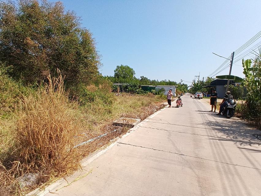 ขายที่ดินเนื้อที่ 200 ตารางวา ถมแล้ว คลองสาม 11/9 คลองหลวง จังหวัดปทุมธานี 3