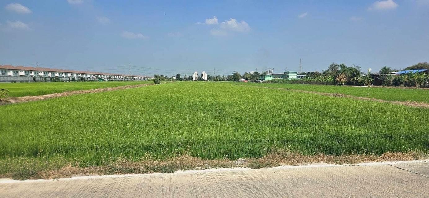 ที่ดินมีถนนผ่านใกล้ตลาดน้ำ 1