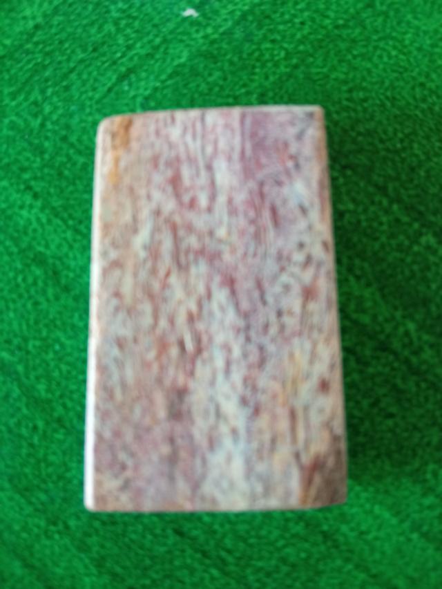 พระสมเด็จ (ฟอสซิลไดโนเสา) 2