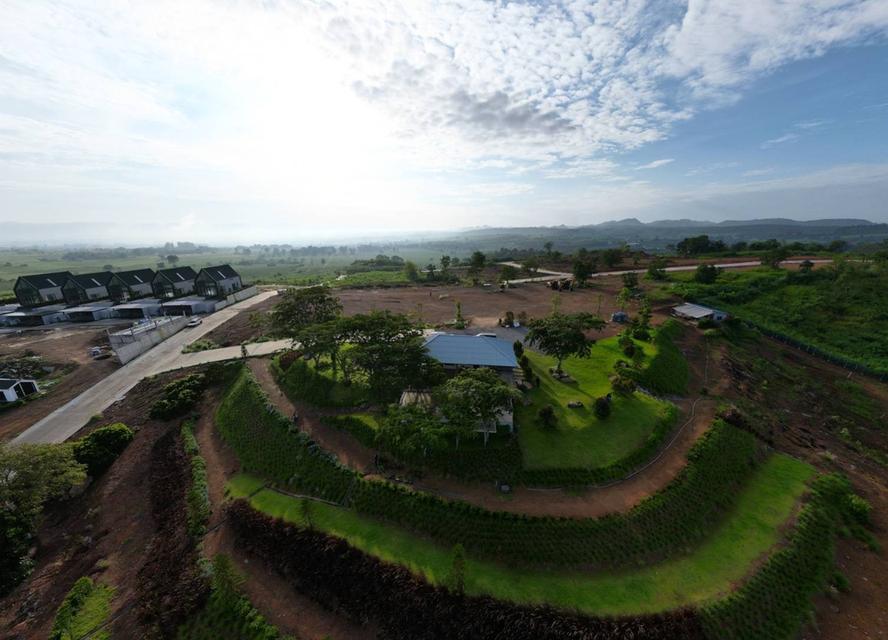 ขายที่ดินเขาใหญ่ บนเนินเขา *วิว360องศา เริ่ม 1.26 ล้านบาท (สูง 440 ม.)   อากาศบริสุทธิ์   อ.ปากช่อง จ.นครราชสีมา 10