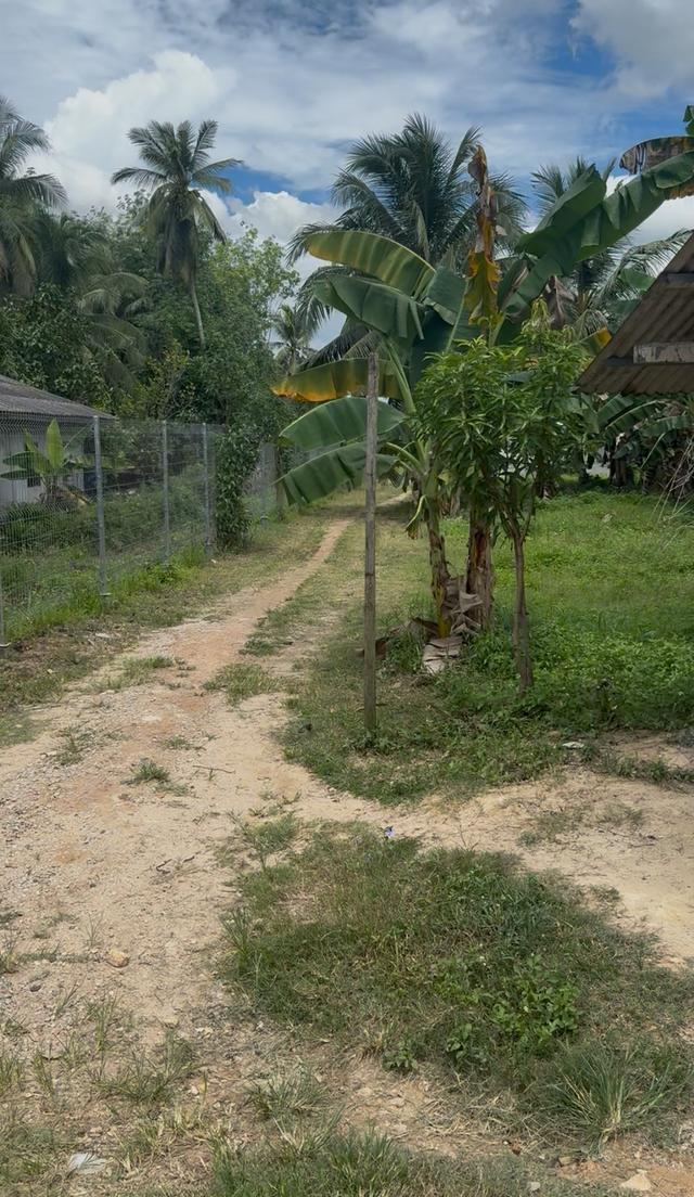 ขายที่ดิน 1