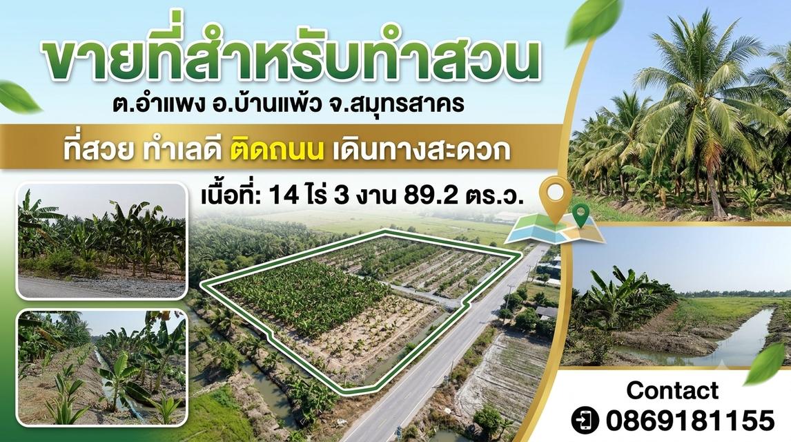 ที่สวน ต.อำแพง อ.บ้านแพ้ว จ.สมุทรสาคร 1