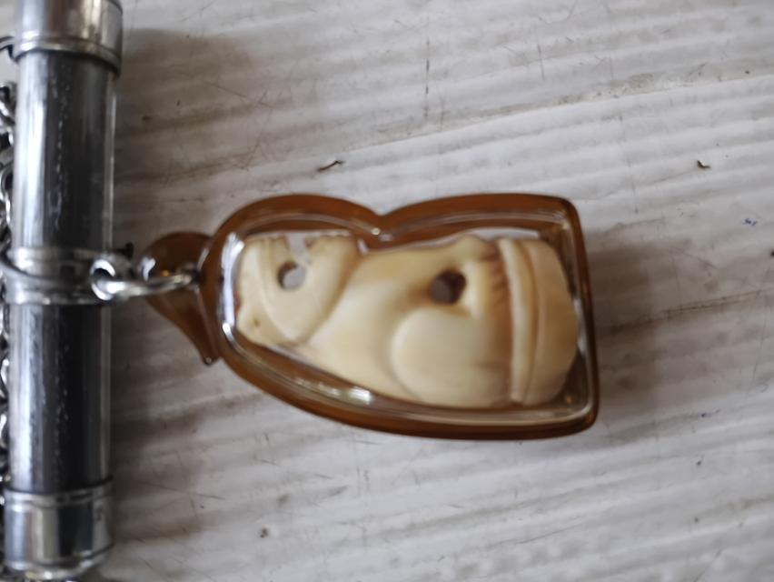 เขี้ยวเสือแกะ (เลี่ยมกรอบ) รูปที่ 8