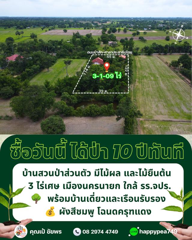 🌳 ที่ดินเมืองนครนายก พรหมณี 3 ไร่เศษ พร้อมบ้านสวนป่าส่วนตัวผังสีชมพู ใกล้ รร.จปร. 5