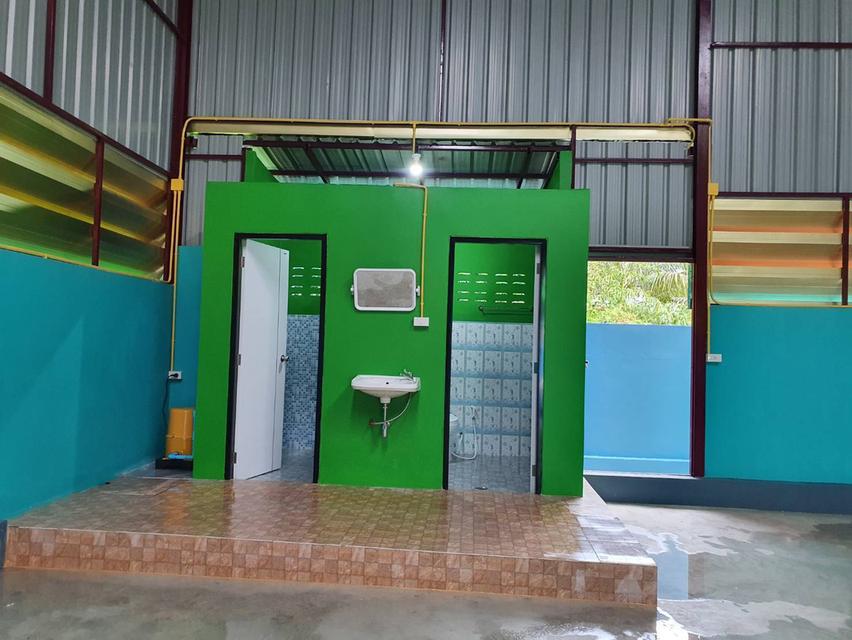 รหัส PNB026 โกดังให้เช่า ขนาด 236 ตร.ม. แถววัดลาดปลาดุก อ.บางบัวทอง จ.นนทบุรี 8