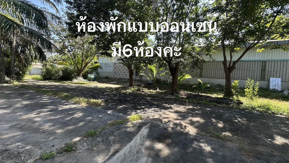 ขายบ้านพร้อมกิจการร้านกาแฟ ห้องพักออนเซน บนเนื้อที่ 4 ไร่ 7