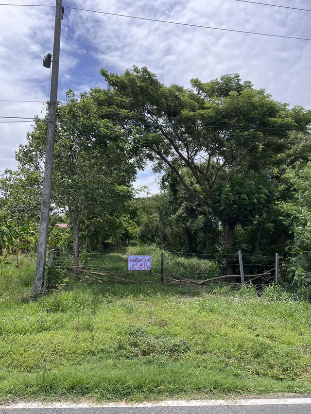 ขายที่ดินติดริมแม่น้ำท่าจีน 2-2-20 ไร่ โฉนดครุฑแดง หน้าติดถนนลาดยาง ต.วังไก่เถื่อน อ.หันคา จ.ชัยนาท 4