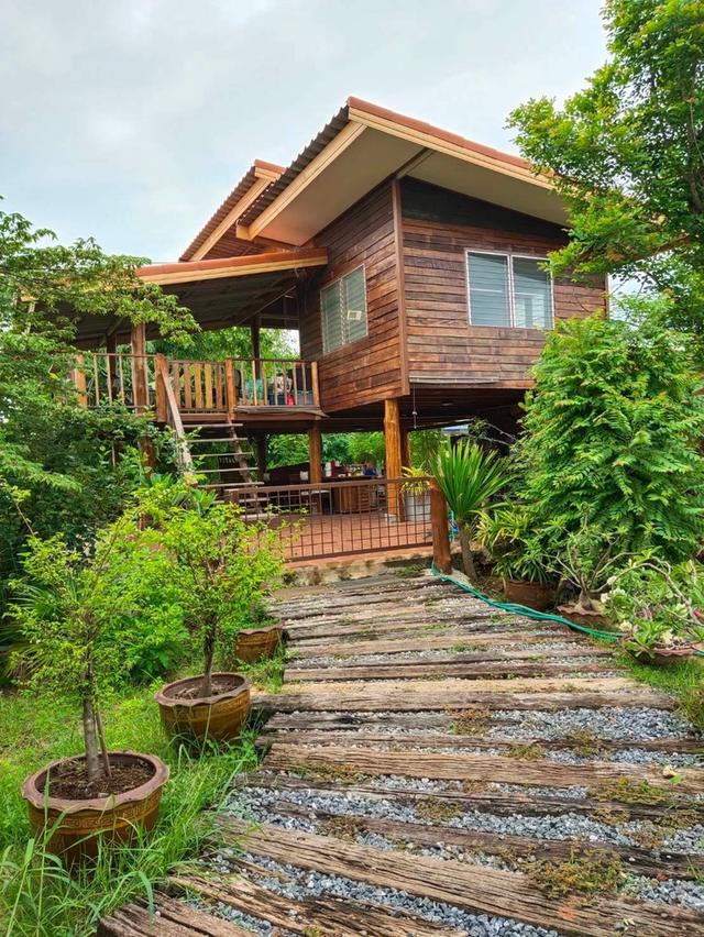 ขายบ้านสวน ทำเลดี 3 ไร่ 1 งาน จังหวัดอุดรธานี 10