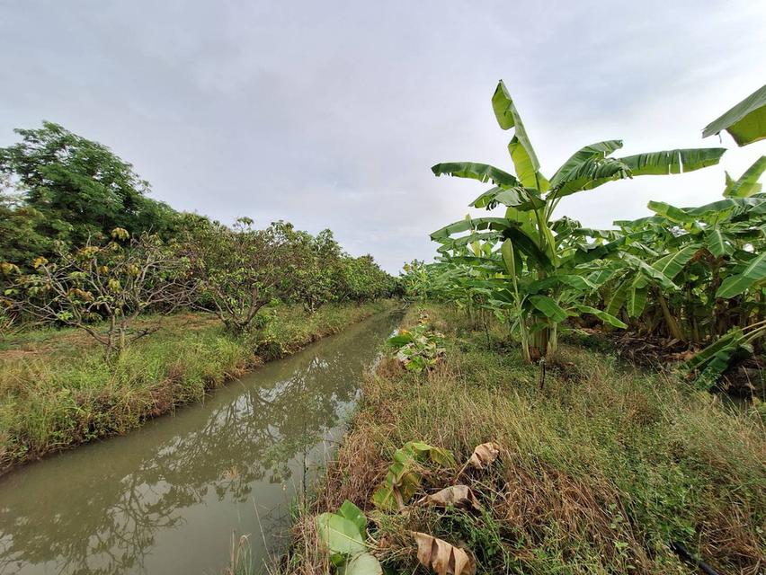 ขายที่ดินสวย อำเภอกำแพงแสน  จังหวัดนครปฐม 5 ไร่ 5 ตารางวา 10