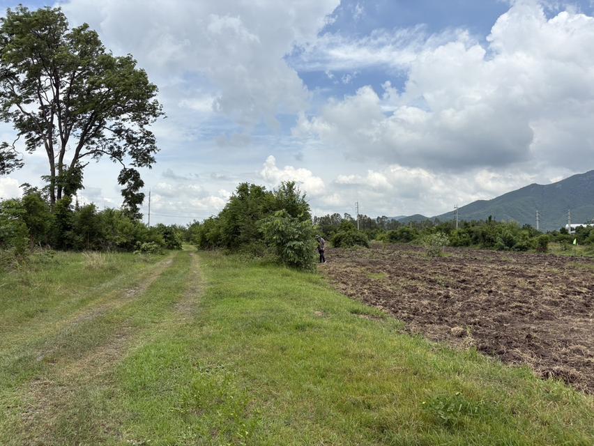 ที่ดิน โคกสำโรง จ. ลพบุรี สด ผ่อน 6