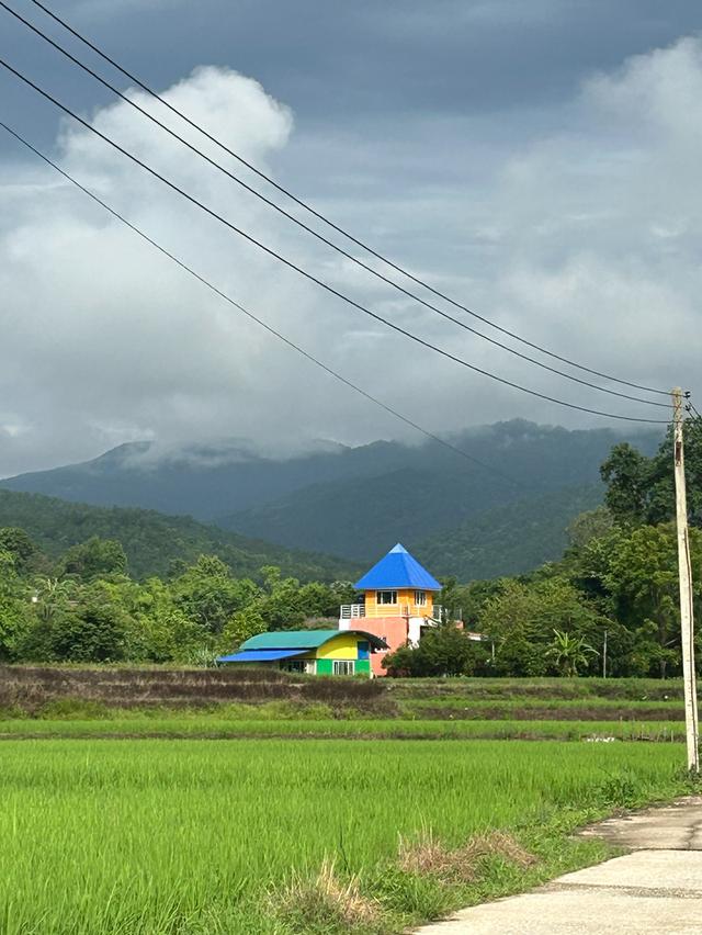 ที่นาวิวสวยไปแถวจอมทอง ติดถนน 2 ด้าน ขายเพียงไร่ละ 350,000 บาท ตารางวาละ 875 บาท 8