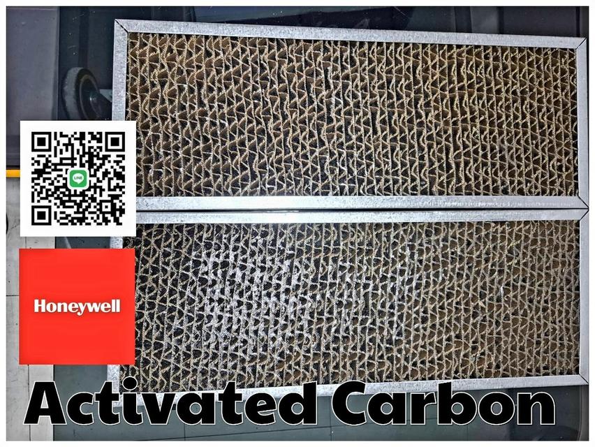 Carbon Activated HONEYWELL