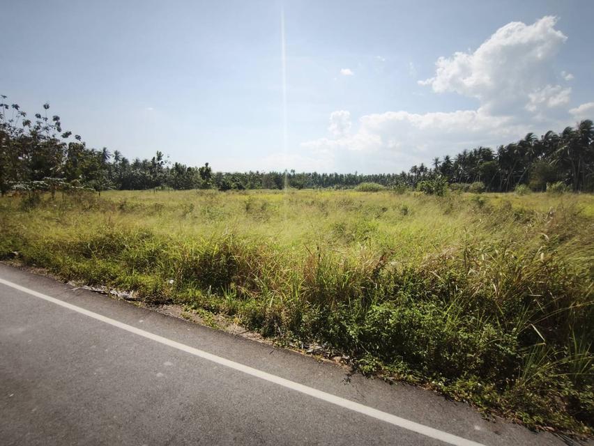ขายที่ดินเปล่า บางเบิด อ.บางสะพาน จ.ประจวบคีรีขันธ์ 2