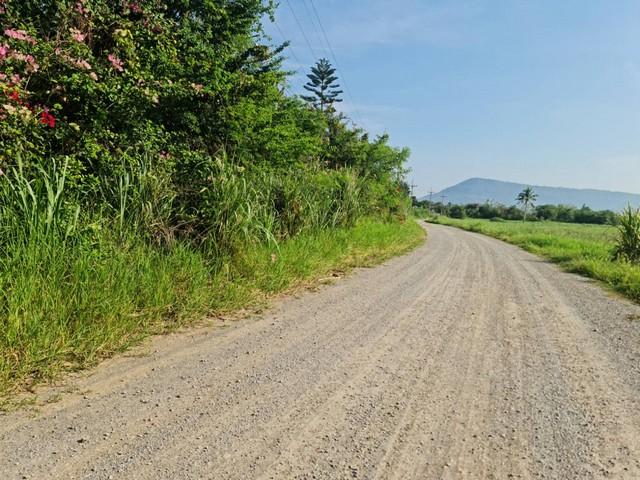 รวมบ้านที่ดินดีงามเพื่อคุณ ที่ปากช่อง 2ไร่- 8ไร่ โฉนด ต.วังไทร อ.ปากช่อง จ.นครราชสีมา ไร่ละ 2.9 ลบ.สูงจากระดับน้ำทะเลมาก 5