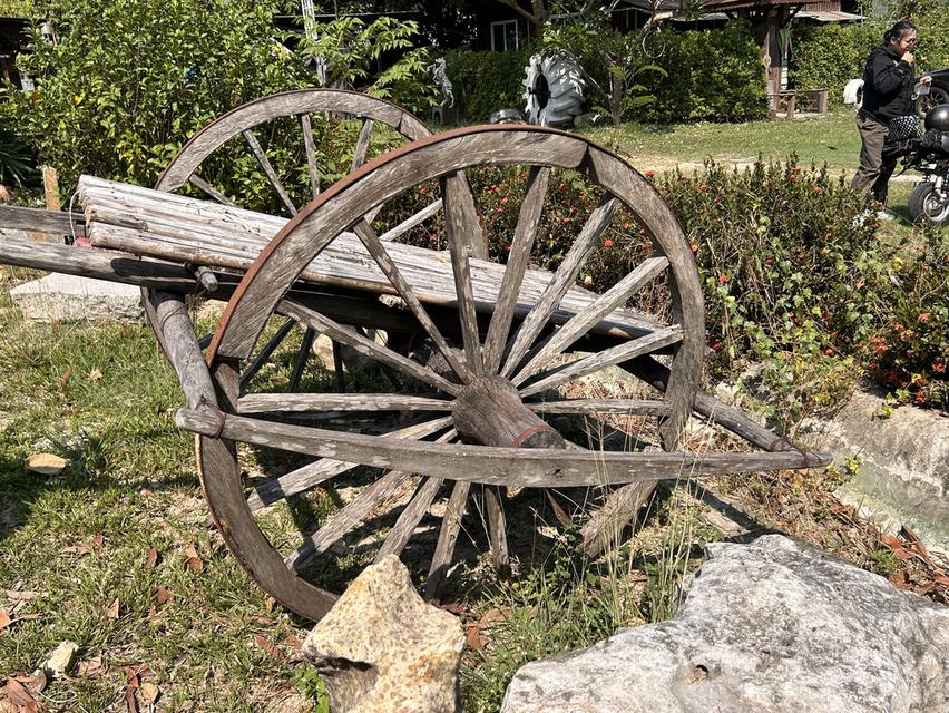 ขายของเเต่งร้าน  วินเทจ  มือสอง  รีบขายด่วน  คืน พื้นที่ให้เจ้าของ  รับเอง 20