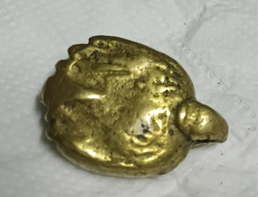 เต่ามะเฟืองหลวงพ่อเงิน 3