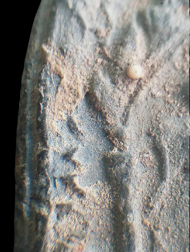 พระพุทธบาทปิลันทน์.. รูปที่ 8