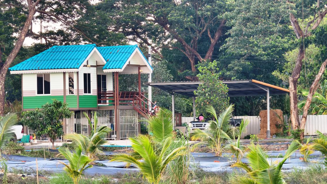 ที่ดินคลอง 9 ธัญบุรี 14