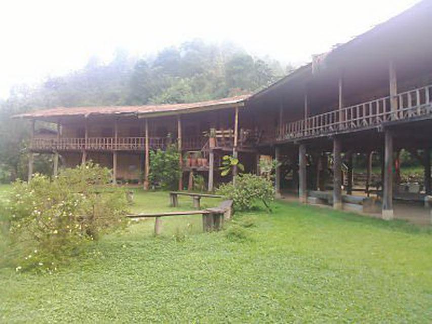 Lease Home Stay on the Hill Top Mountain  3