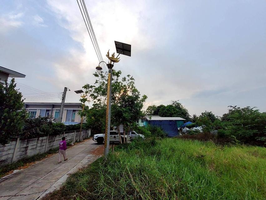 ขายด่วนที่ดิน 206 ตรว  ติดถนนคอนกรีต ซ.ลาดกระบัง 14/1 ราชาเทวะ บางพลี สมุทรปราการ 11