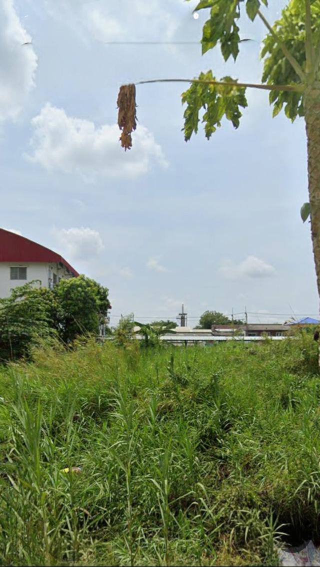 ที่ดินเปล่า เนื้อที่ 203 ตารางวา 3