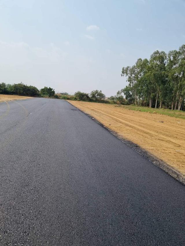 ขายที่ดินถมแล้วเริ่มต้น 342 ตรว. หลังนิคมโรจนะปราจีน ใกล้ถนน304-4.5กม. อ.ศรีมหาโพธิ ปราจีนบุรี 3