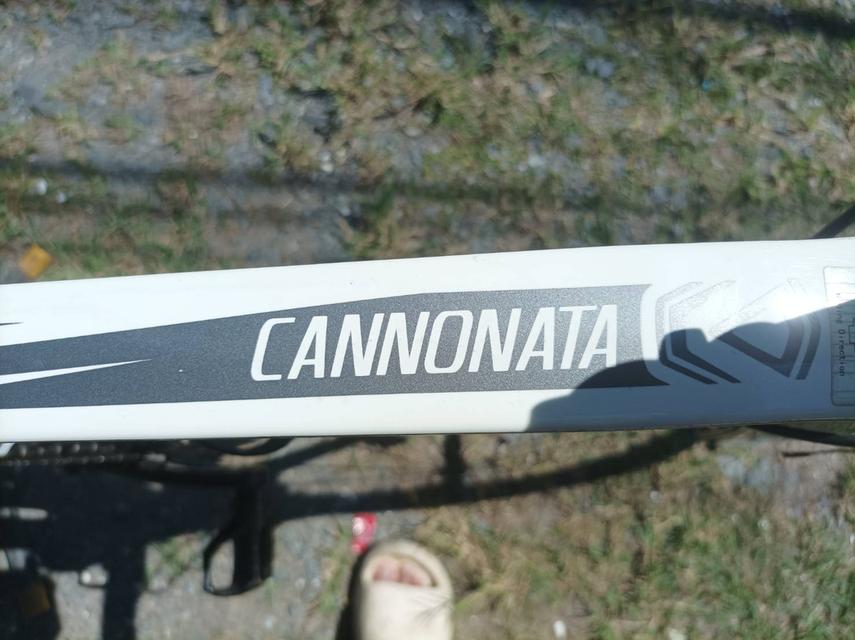 จักรยานเสือหมอบJAVA รุ่นCANNONATA รูปที่ 12