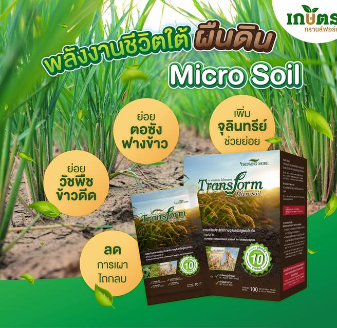 ขายทรานฟอร์มไมโครซอย สารช่วยย่อยสลายข้าวดิดข้าวเด้ง รูปที่ 5