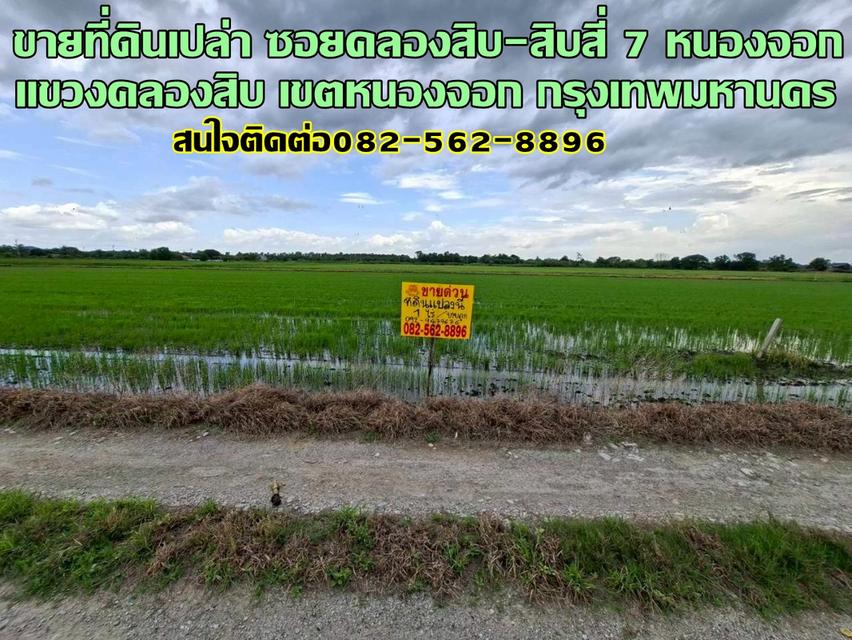 ขายที่ดินเปล่า ซอยคลองสิบ-สิบสี่ 7 หนองจอก 1