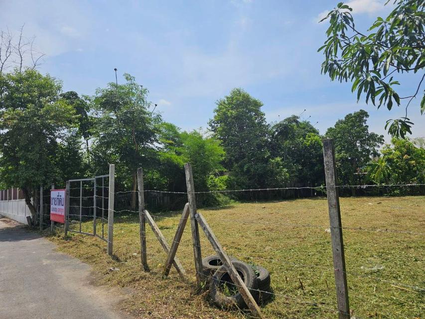 ขายที่ดินแปลงสวย ถมแล้ว ขนาด 196 ตร.วา เข้าซอย หทัยราษฎร์ 23/1 เพียง 500 ม. ใกล้ทางด่วน - ถนนวงแหวน - MRT มีนบุรี 8