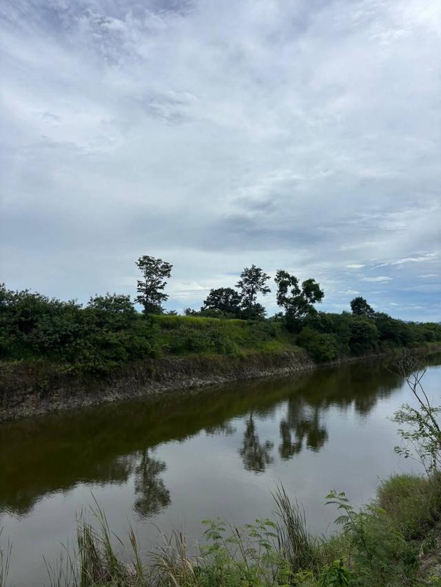 ขายที่หนองสาหร่าย ปากช่อง ที่ติดน้ำ วิวเขาสวย ที่ดิน 1ไร่ 59 ตร.ว ที่สวย ลมดีอากาศถ่ายเท ทำเลดี ใกล้เส้น2235 สนามกอล์ฟแรนโชว์ ตลาดสด เซเว่น 0879074045 4